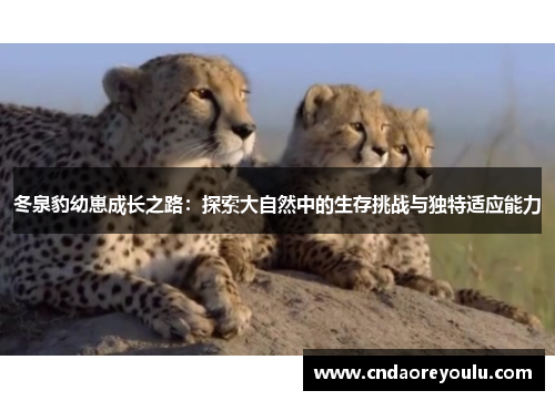 冬泉豹幼崽成长之路：探索大自然中的生存挑战与独特适应能力